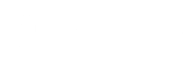DATABUZZNEWS.COM @ DATA2